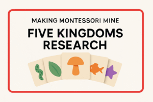 Five Kingdoms Research